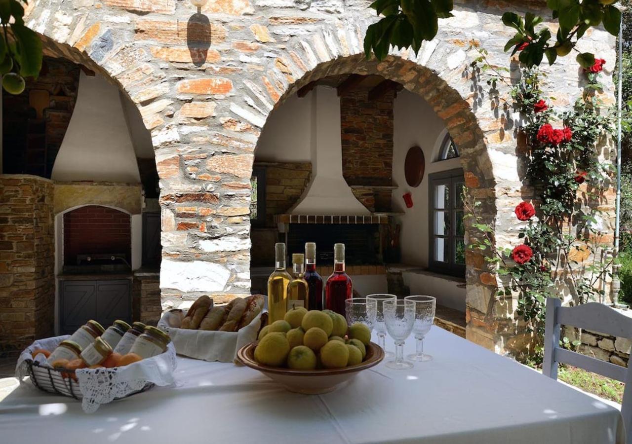 Romano Garden House - Land Tales Agios Romanos Bagian luar foto