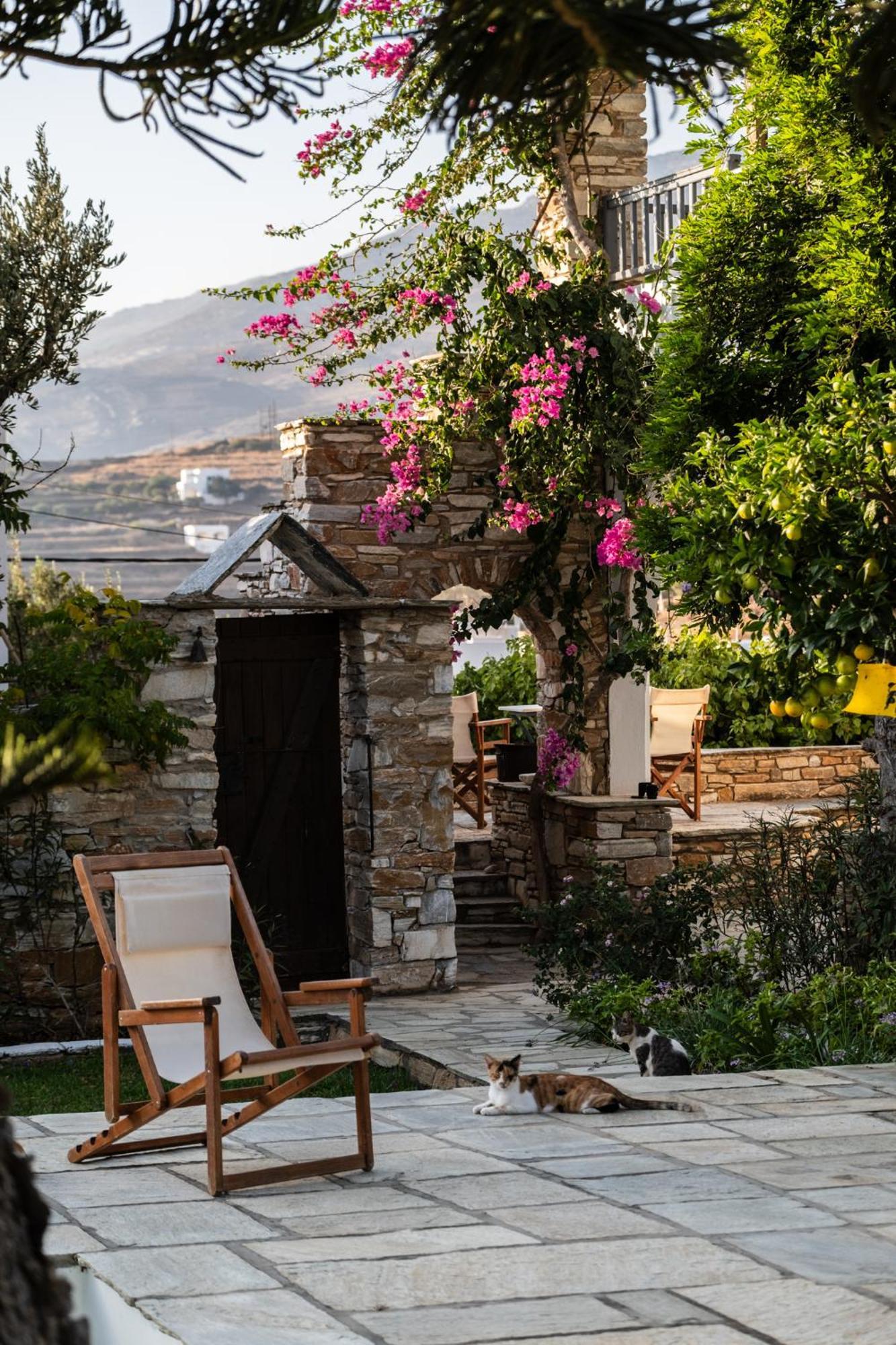 Romano Garden House - Land Tales Agios Romanos Bagian luar foto