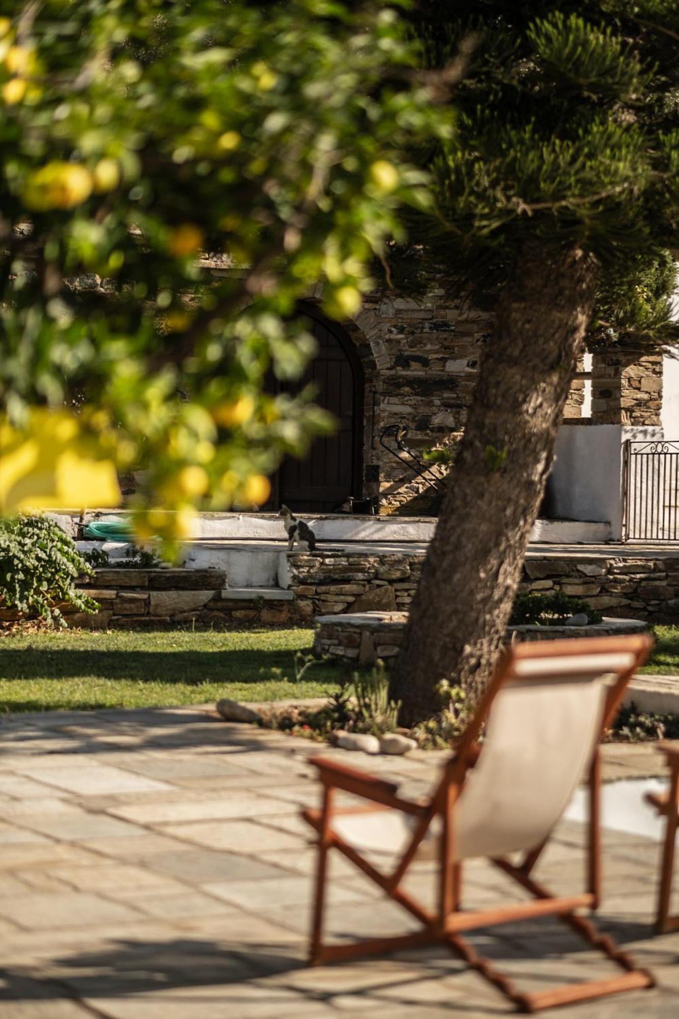 Romano Garden House - Land Tales Agios Romanos Bagian luar foto
