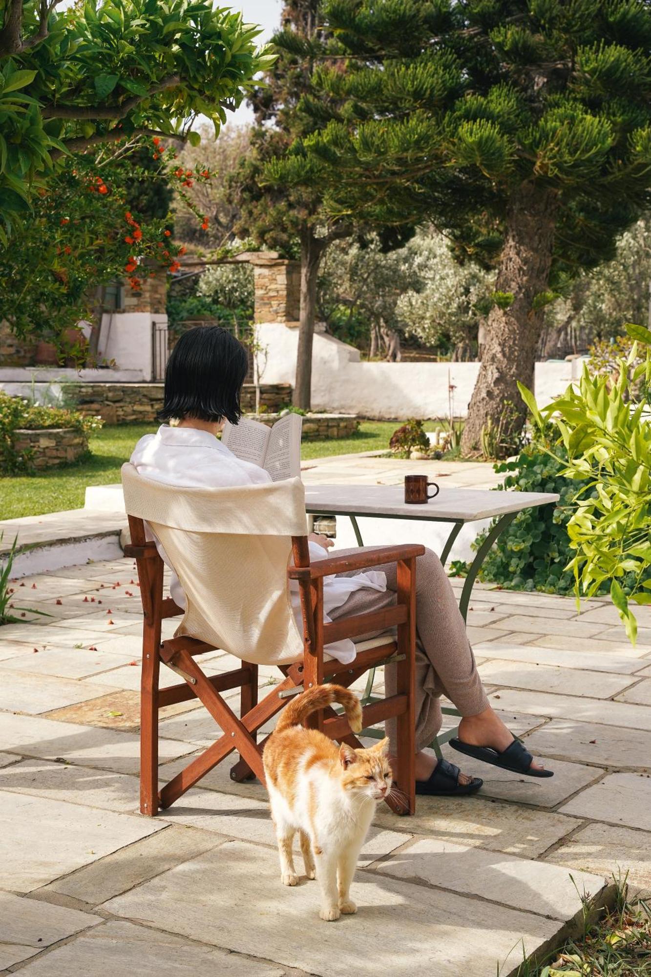 Romano Garden House - Land Tales Agios Romanos Bagian luar foto